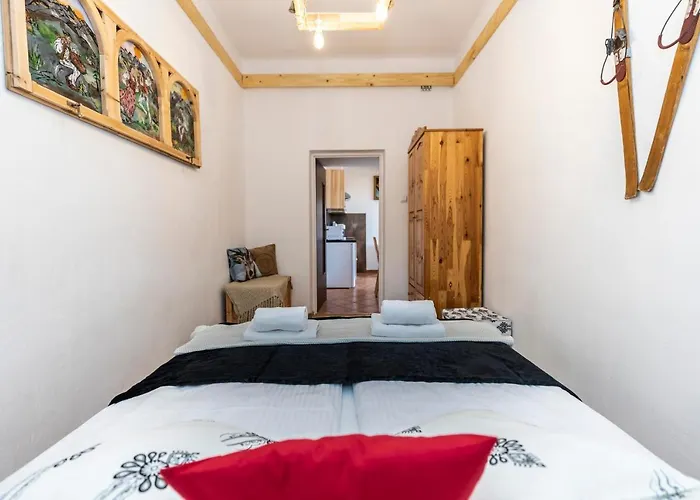 公寓 Sabalowe Bajania 扎科帕内